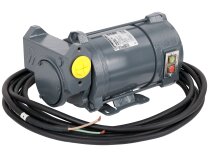 Gespasa Iron-50 Ex 24 Benzin Pompası