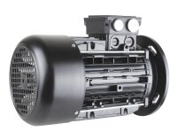 Riello 3013565 elektrik motoru