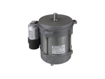 Simel XS BB/2197-32 motoru, sanat: 13009981