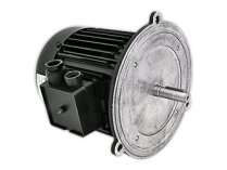 HANNING 550W Elektrik Motoru, art. 13013124