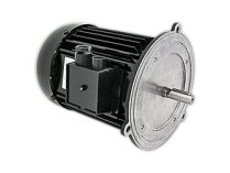 Hanning 900W Elektrik Motoru, art. 13013125