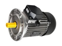Soga MT190LB/2 elektrik motoru