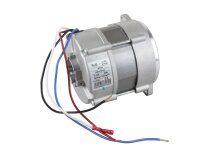 Riello 517SE 6704 elektrik motoru, san: 3012294