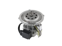 RHE RH Y 110, 3003771 elektrik motoru