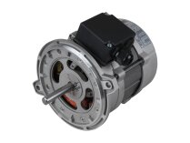 Riello RHT 135 elektrik motoru, 450 W, art: 3006716.