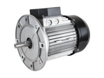 Riello elektrik motoru, 3003966