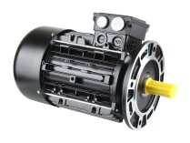 Riello 4,5 kW elektrik motoru, 20050960