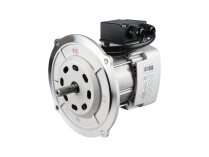Riello RH Y 110 motor, 420W, sanatsız: 3013425.