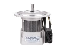 Riello RH Y 110 elektrik motoru