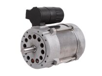 Simel ZD 1-4/2196-32 Elektrik Motoru