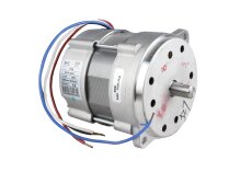 Riello RHE 171T 7398 elektrik motoru