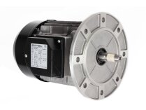 Riello elektrik motoru, 3014206R