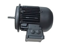 Weishaupt WM-D132/210-2/10K0 elektrik motoru