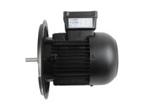 Weishaupt EC90/90-2/1 elektrik motoru, parça no: 21110307120