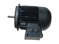 Weishaupt W-D160/240-2/16K0 21871307010 Motor Alternatif Sanat: We21871307010, We2187130701-0.