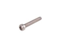 Weishaupt Vidası M4 x 30 mm, 409325