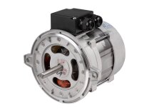 Riello RH 135 elektrik motoru, 3006612