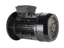 Riello elektrik motoru, san: 3008422.