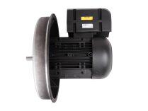 Weishaupt W-D160/240-2/22K elektrik motoru