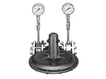 Weishaupt gaz basınç regülatörü 5/2a-25/80, art: 15133626550.