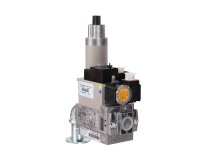 Ecoflam GT-D2-MBZRDLE407-RP20-MAXGAS170-250 Gaz Rampası